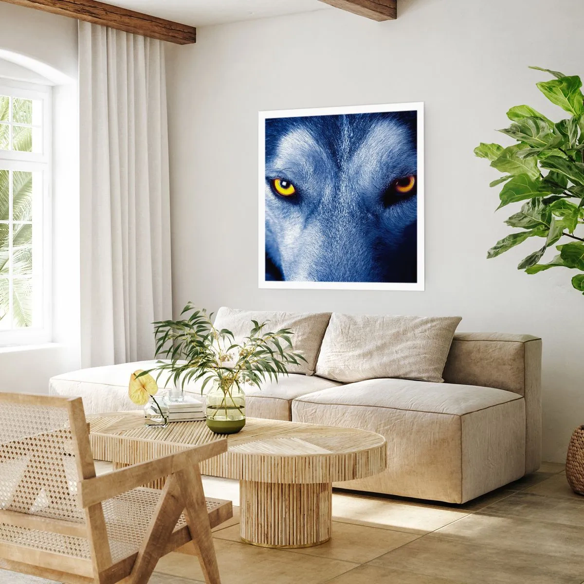 Poster - O privire hipnotizantă - 60x60 cm