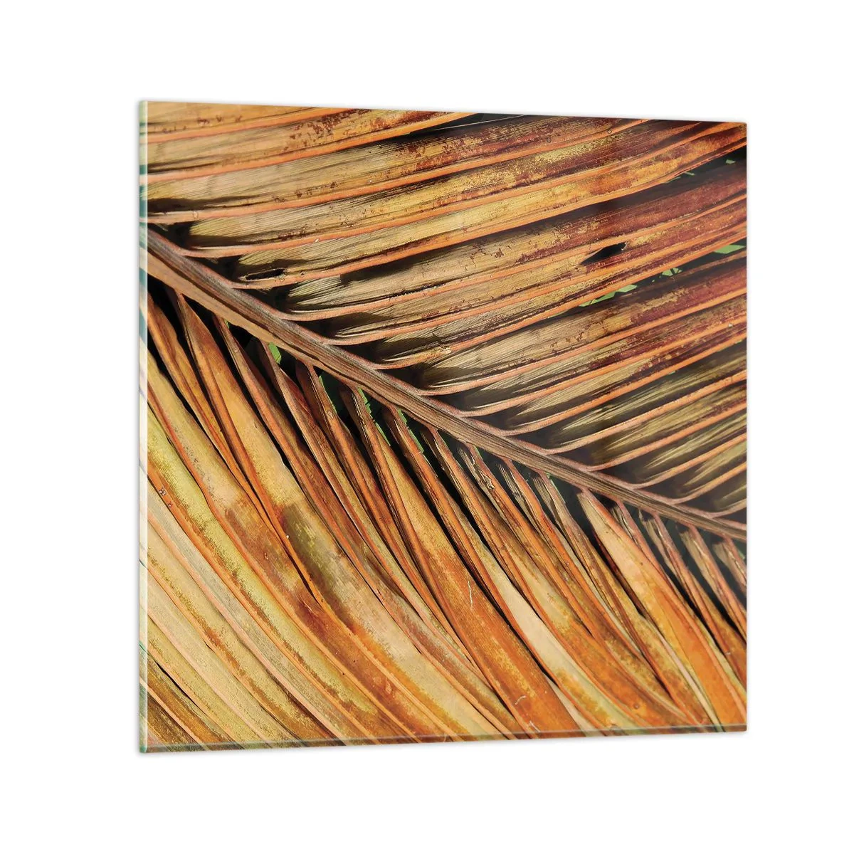 Tablou pe sticlă - Aur de nucă de cocos - 40x40 cm