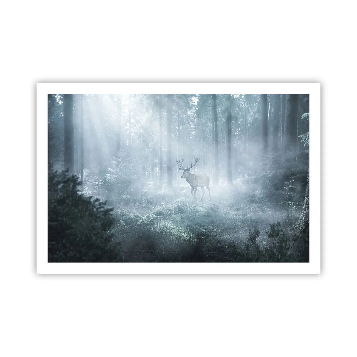 Poster - Plimbarea de dimineață prin regat - 91x61 cm