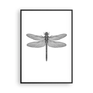 Poster în ramă neagră - Precizia naturii - 70x100 cm
