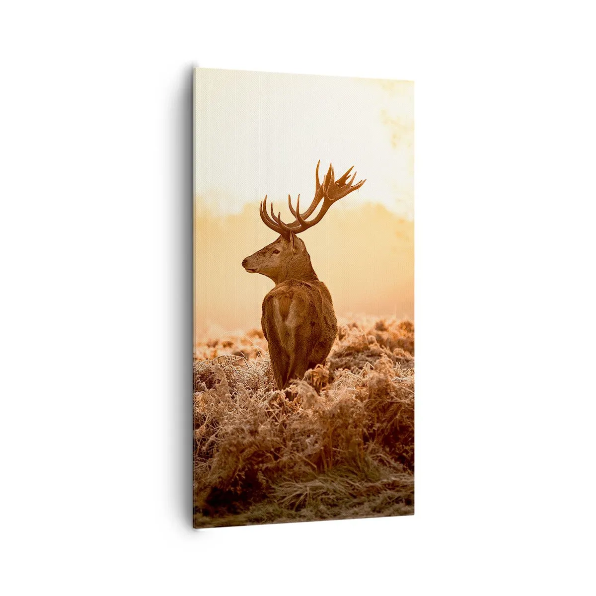 Tablou pe pânză - Stăpânul conacului - 65x120 cm