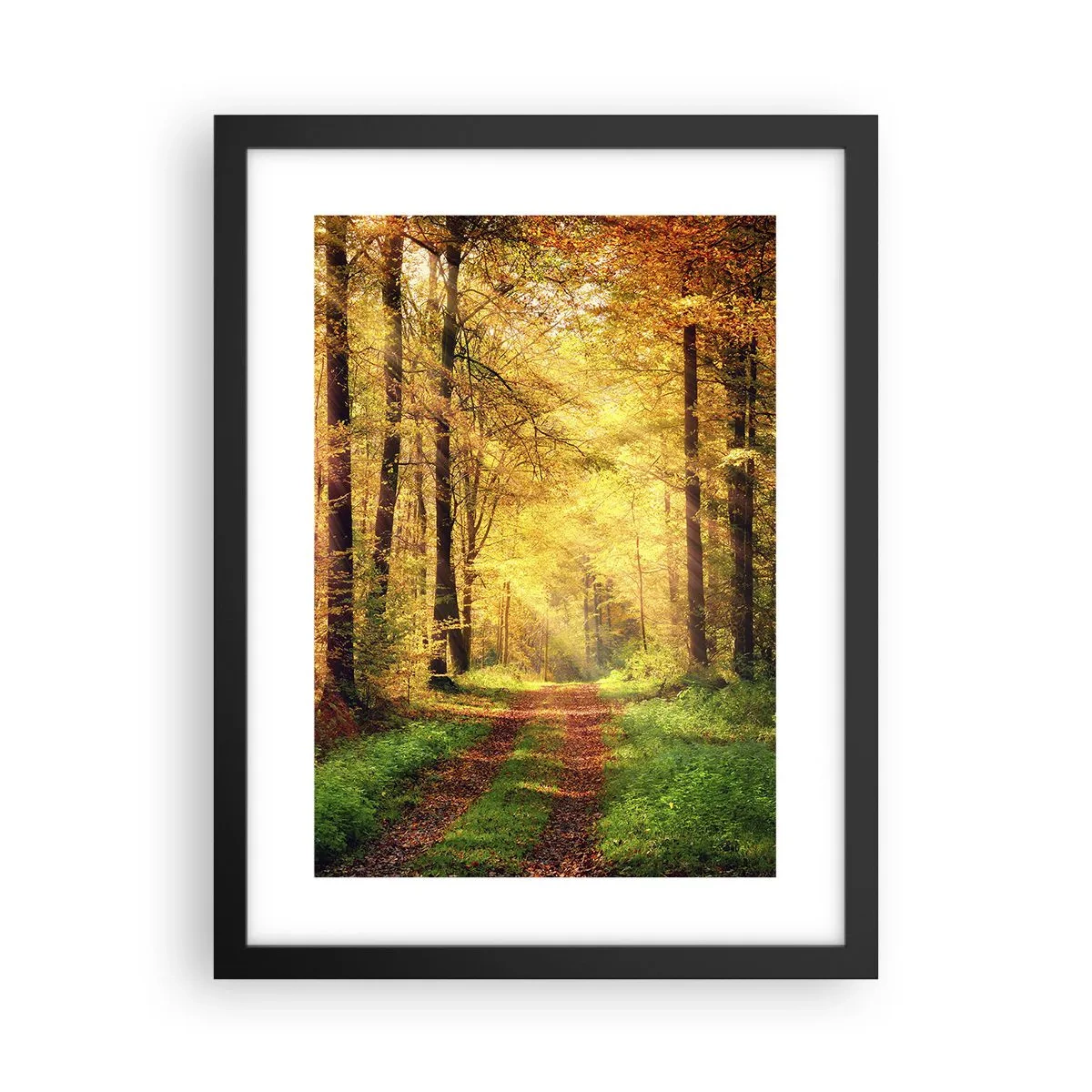 Poster în ramă neagră - Tăcere de aur de pădure - 30x40 cm