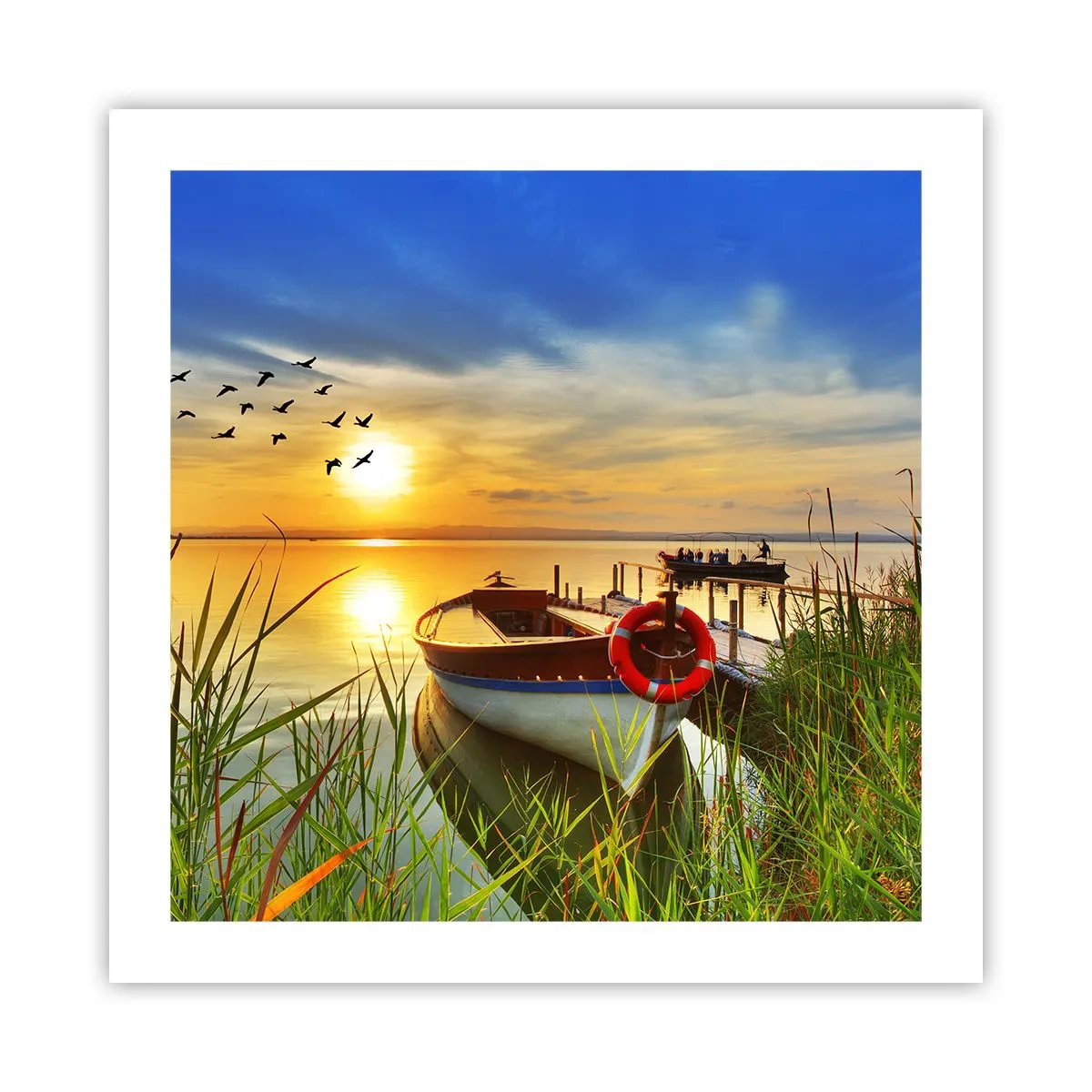 Poster - Cormoranii pleacă deja - 50x50 cm