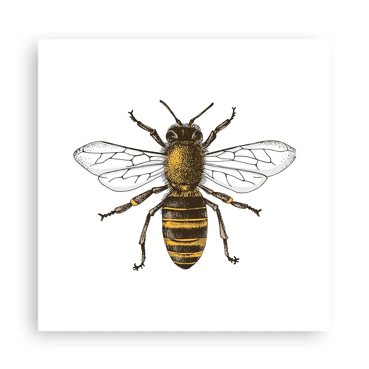 Poster - Frumoasă și bună - 30x30 cm