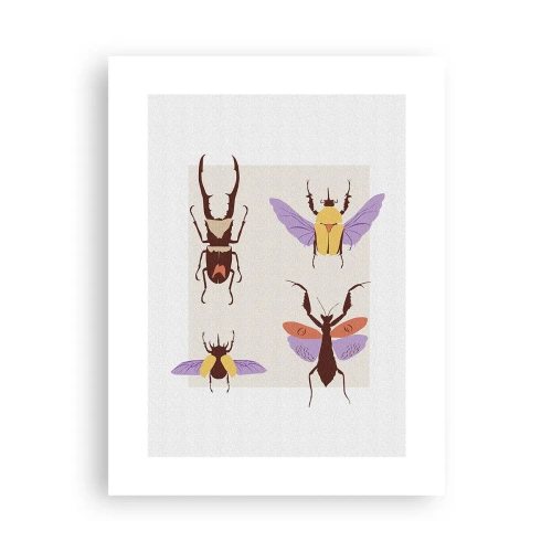 Poster - Lumea insectelor - 30x40 cm