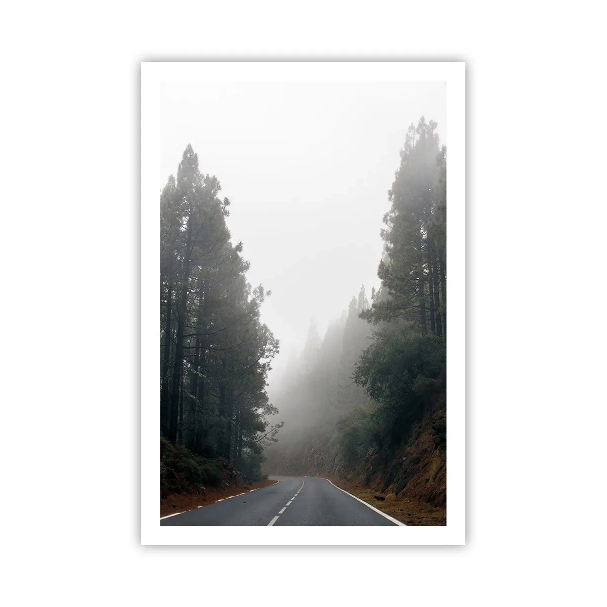 Poster - O poveste din Pădurea Magică - 61x91 cm