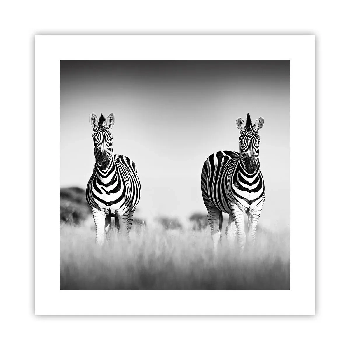 Poster - Și totuși lumea e albă și neagră - 40x40 cm