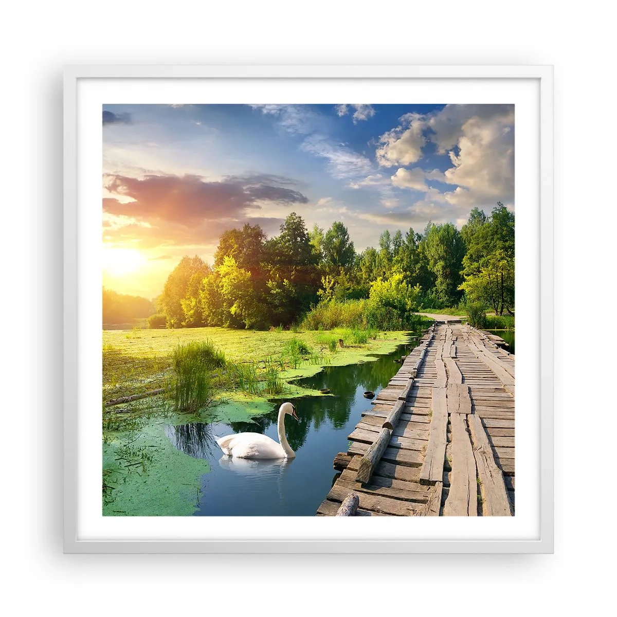 Poster în ramă albă - Vară, vară peste tot - 60x60 cm