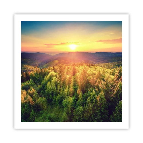 Poster - Vârfuri și culmi - 60x60 cm