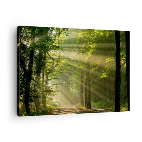 Tablou pe pânză Canvas - Cale de pădure cu raze de soare care strălucesc printre copaci - 70x50cm - Moment de pădure - Decorațiune modernă pentru perete pentru living și dormitor ARTTOR