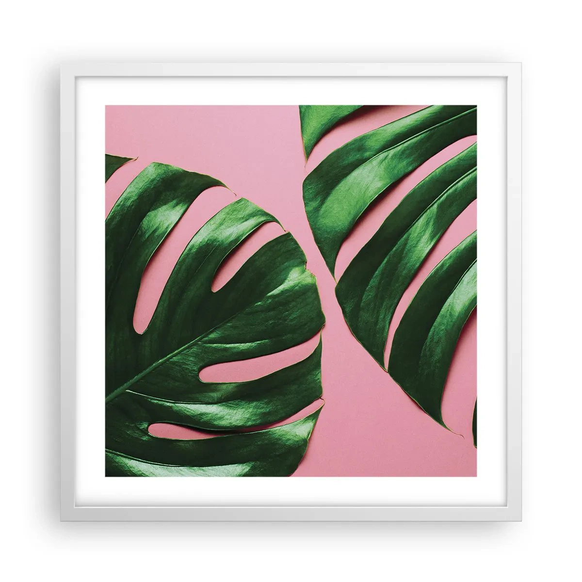 Poster în ramă albă - Întâlnire verde - 50x50 cm