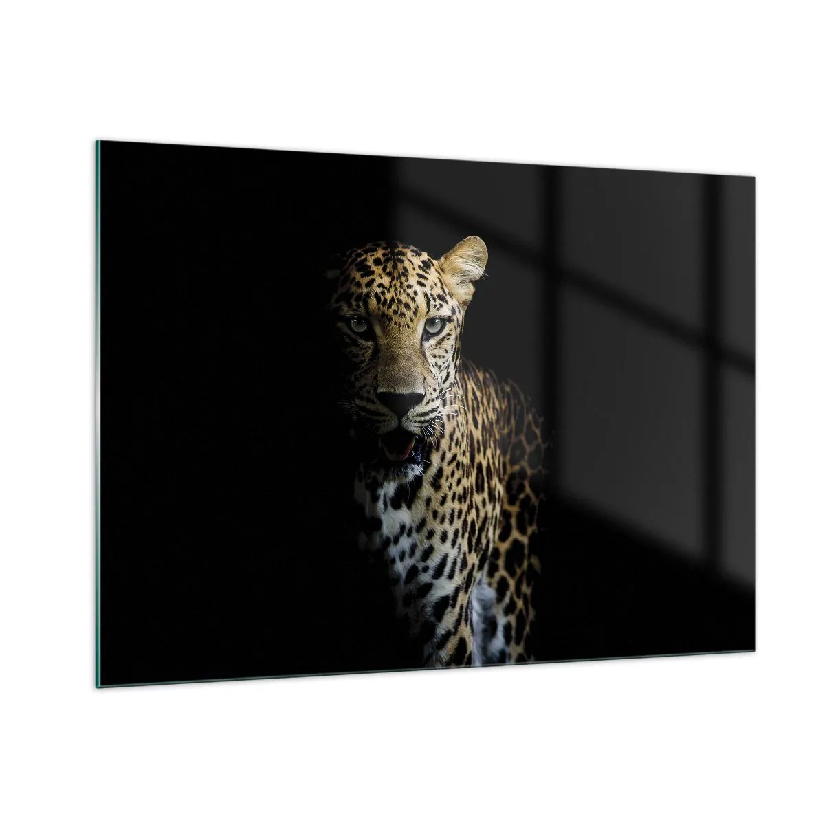 Tablou pe sticlă - Frumusețe întunecată - 100x70 cm