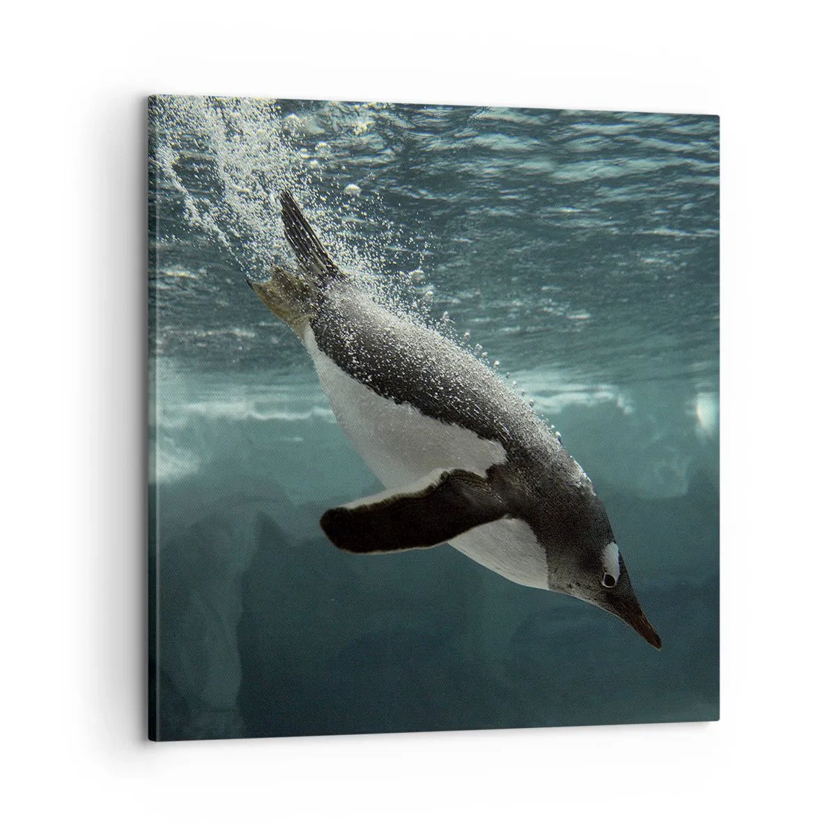 Tablou pe pânză - Bun venit în lumea mea - 60x60 cm