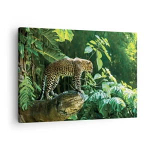 Tablou pe pânză Canvas - Un leopard stând pe o stâncă înconjurat de vegetație tropicală - 70x50cm - La vânătoare? - Decorațiune modernă pentru perete pentru living și dormitor ARTTOR