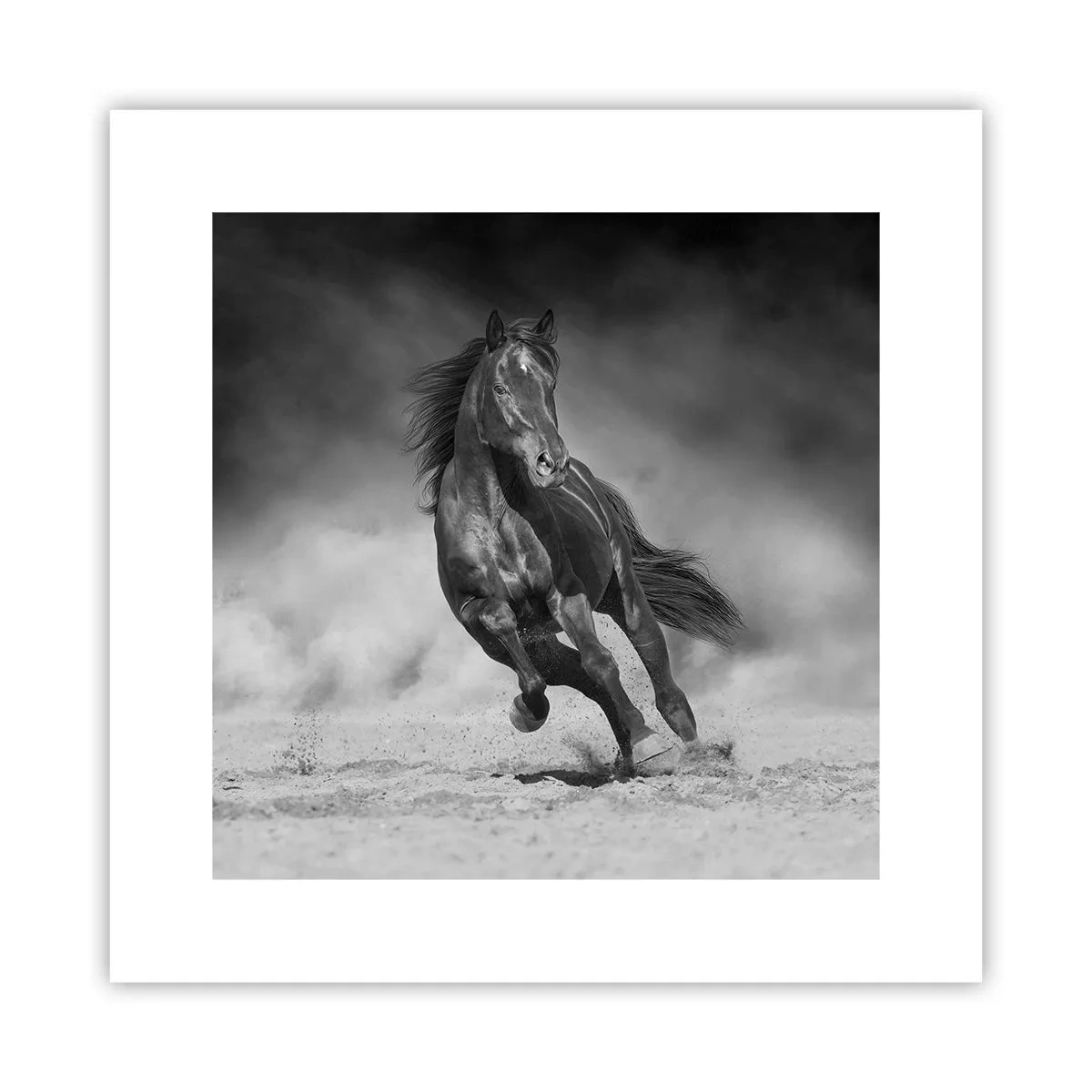 Poster - Dorința emirului - 30x30 cm