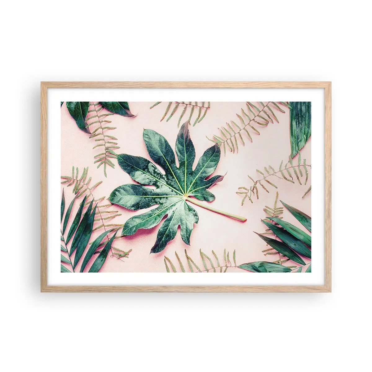Poster în ramă de stejar deschis - Studiu de verdeață pe un fundal roz - 70x50 cm