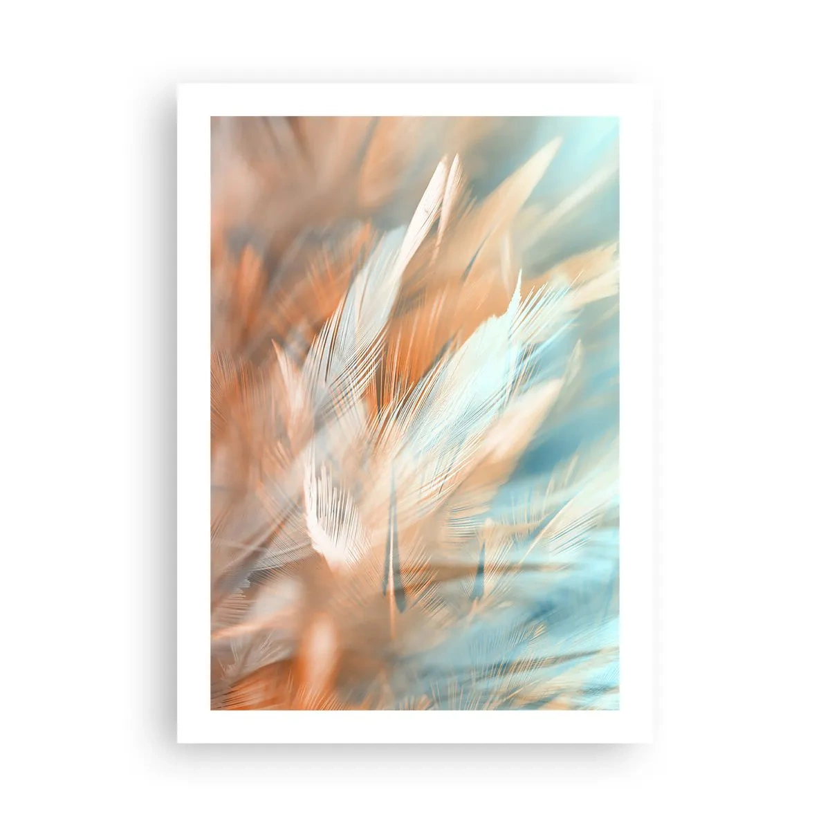 Poster - În țara blândeții - 50x70 cm
