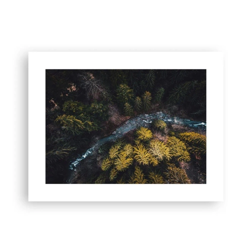 Poster - Rapid și mai rapid - 40x30 cm