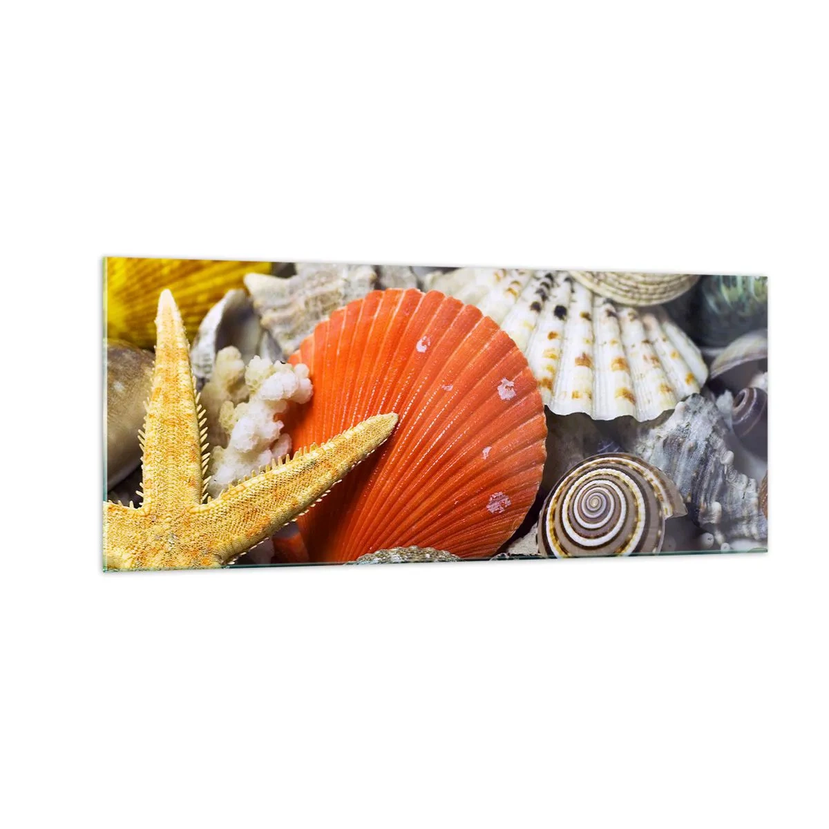 Tablou pe sticlă - Comorile oceanului - 100x40 cm