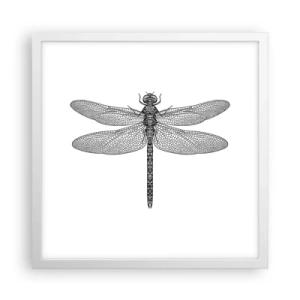 Poster în ramă albă - Precizia naturii - 40x40 cm