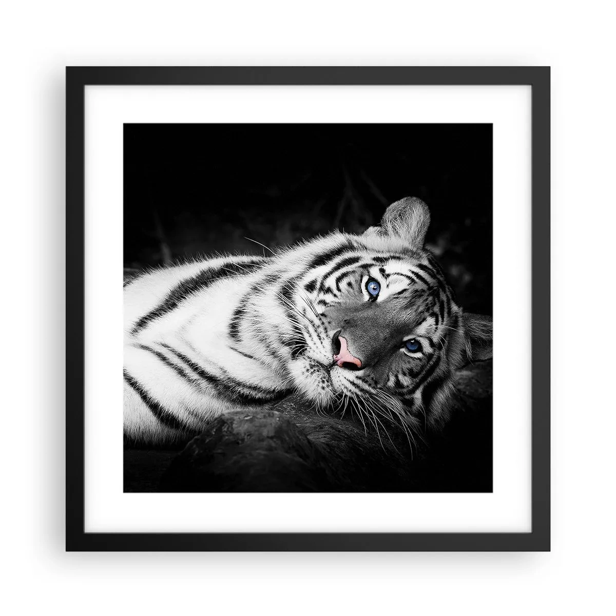 Poster în ramă neagră - Sălbăticie și pace - 40x40 cm