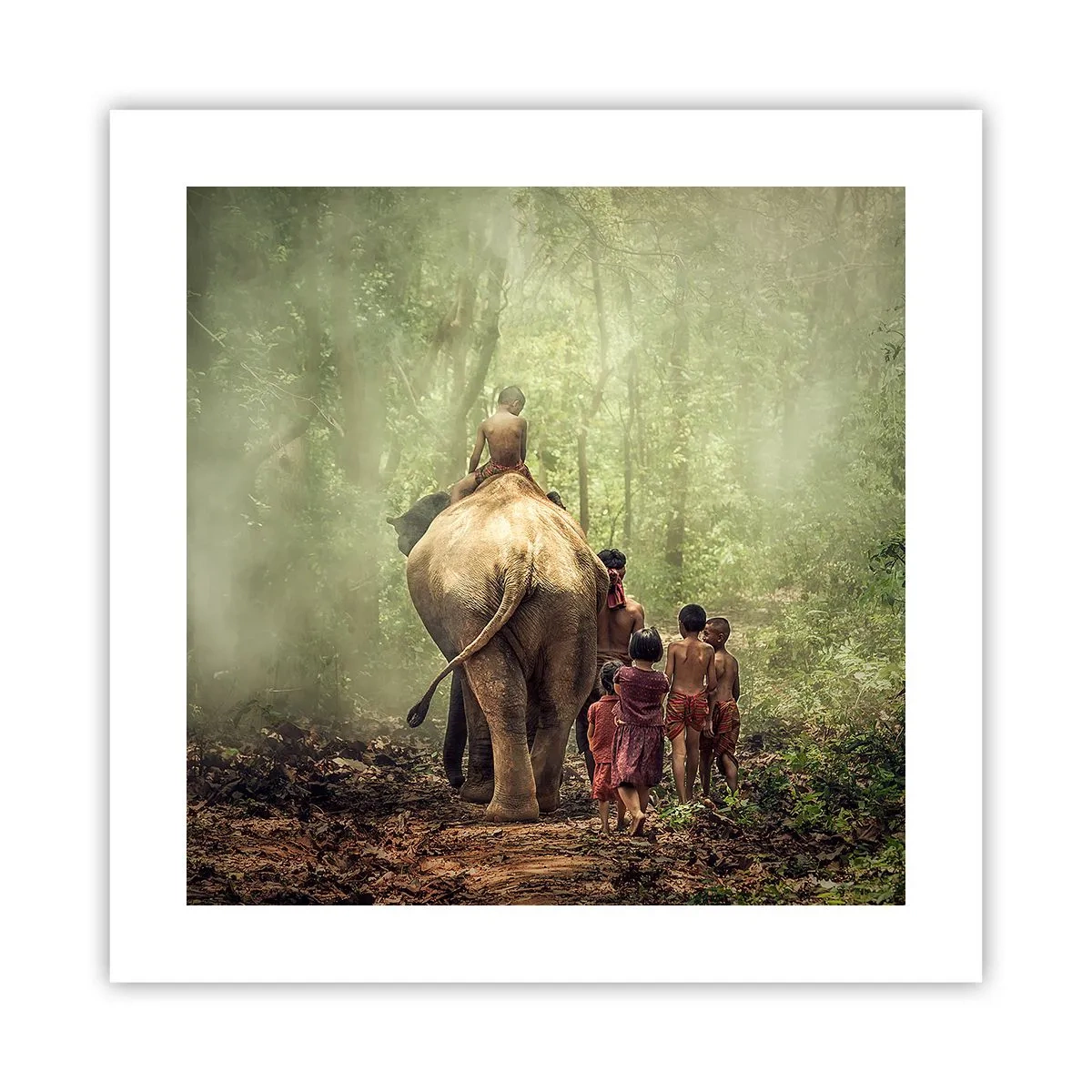 Poster - Noua Carte a Junglei - 40x40 cm