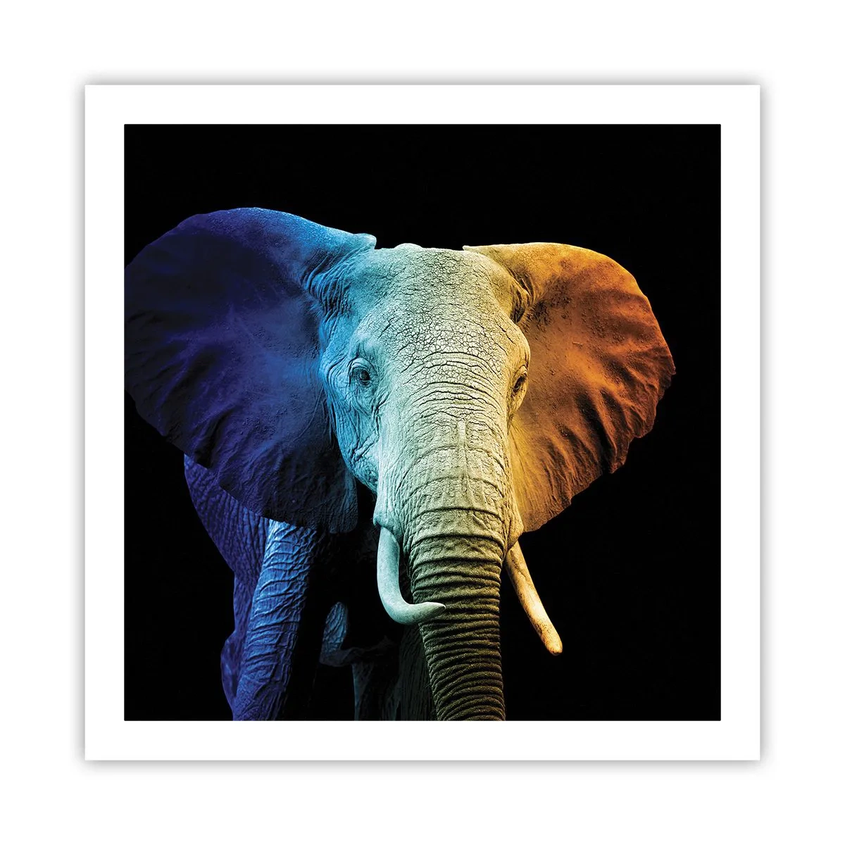 Poster - Excentric, nu ciudat - 60x60 cm
