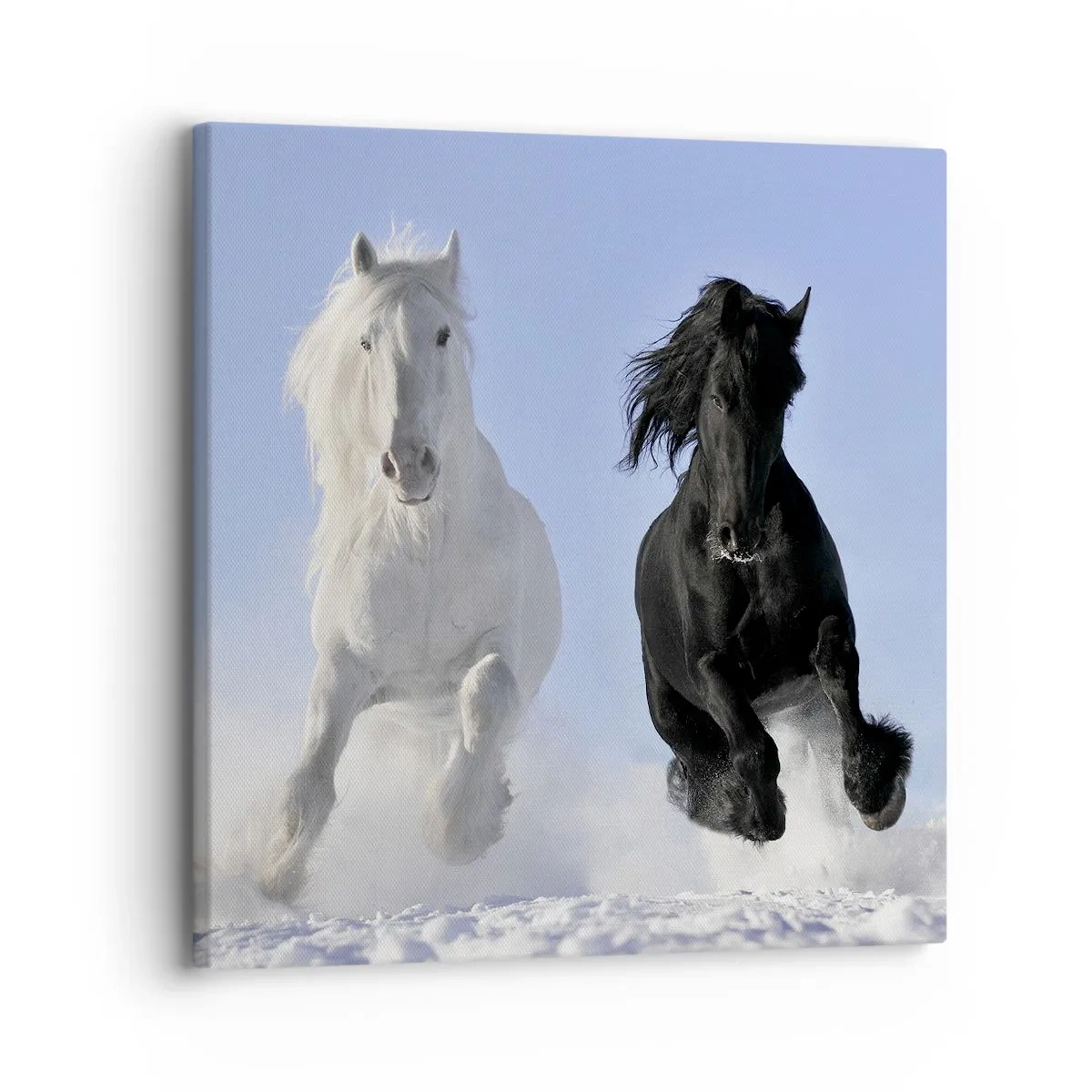 Tablou pe pânză - Galop de alb și negru - 30x30 cm