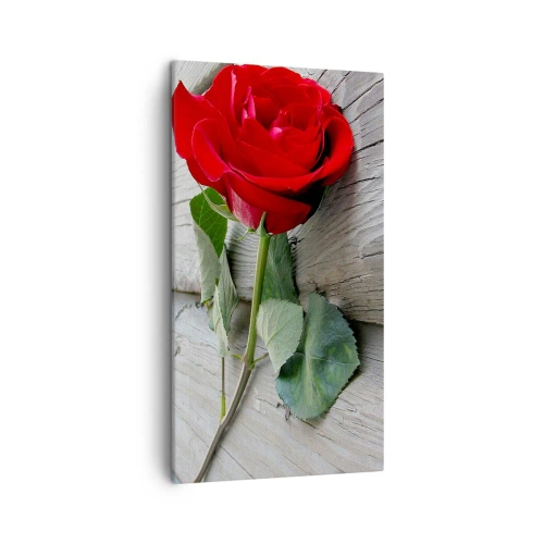 Tablou pe pânză - Studiu în stacojiu - 45x80 cm