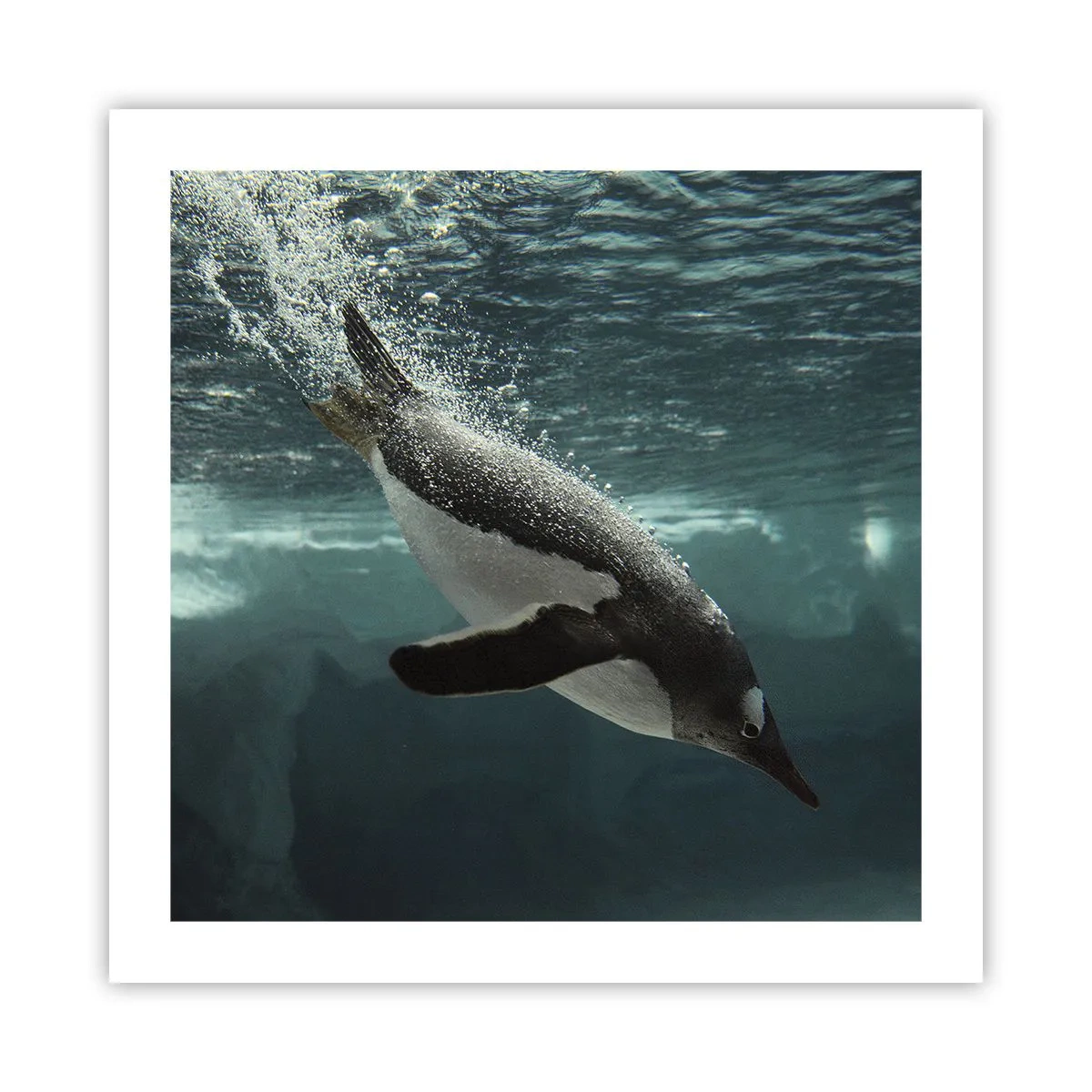 Poster - Bun venit în lumea mea - 50x50 cm