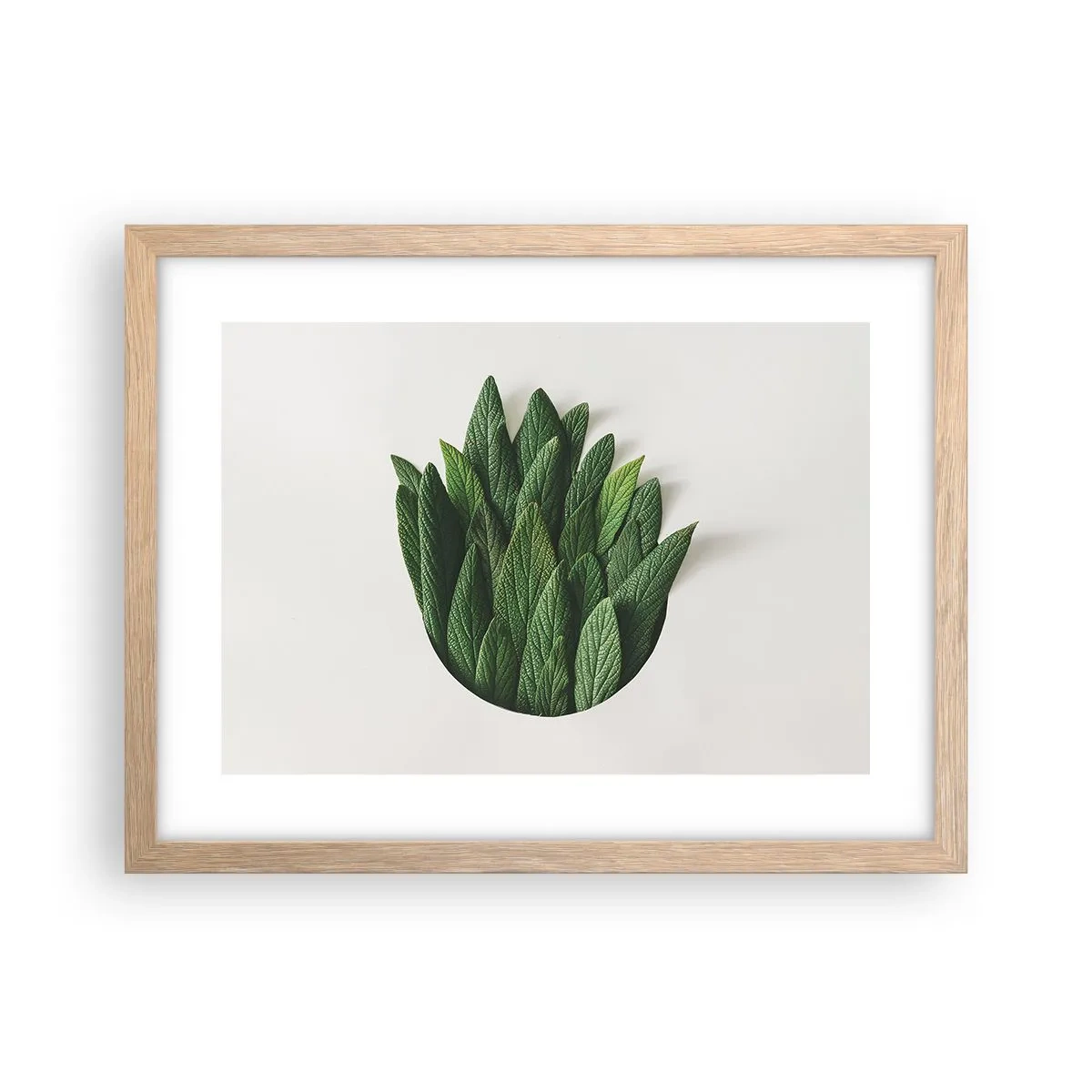 Poster în ramă de stejar deschis - Curiozitatea nestăvilită - 40x30 cm