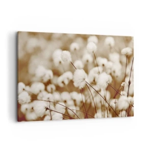 Tablou pe pânză - Câmp pufos - 120x80 cm