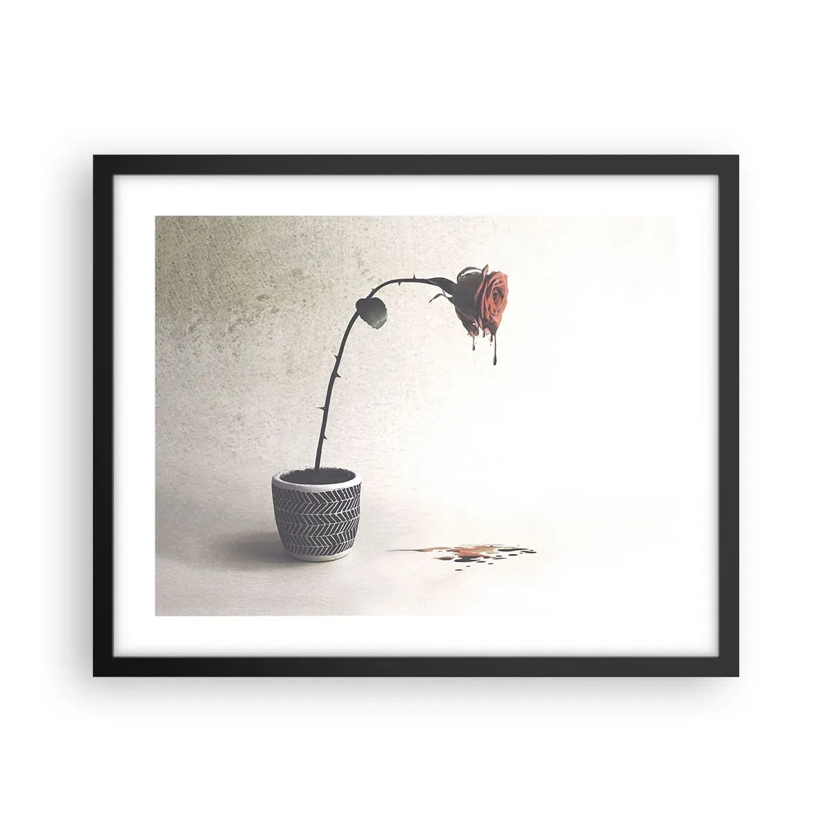 Poster în ramă neagră - Rosa dolorosa - 50x40 cm