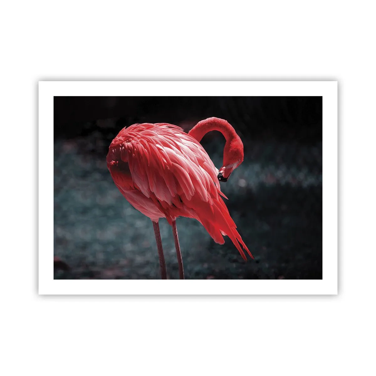 Poster - Poemul purpuriu al naturii - 70x50 cm