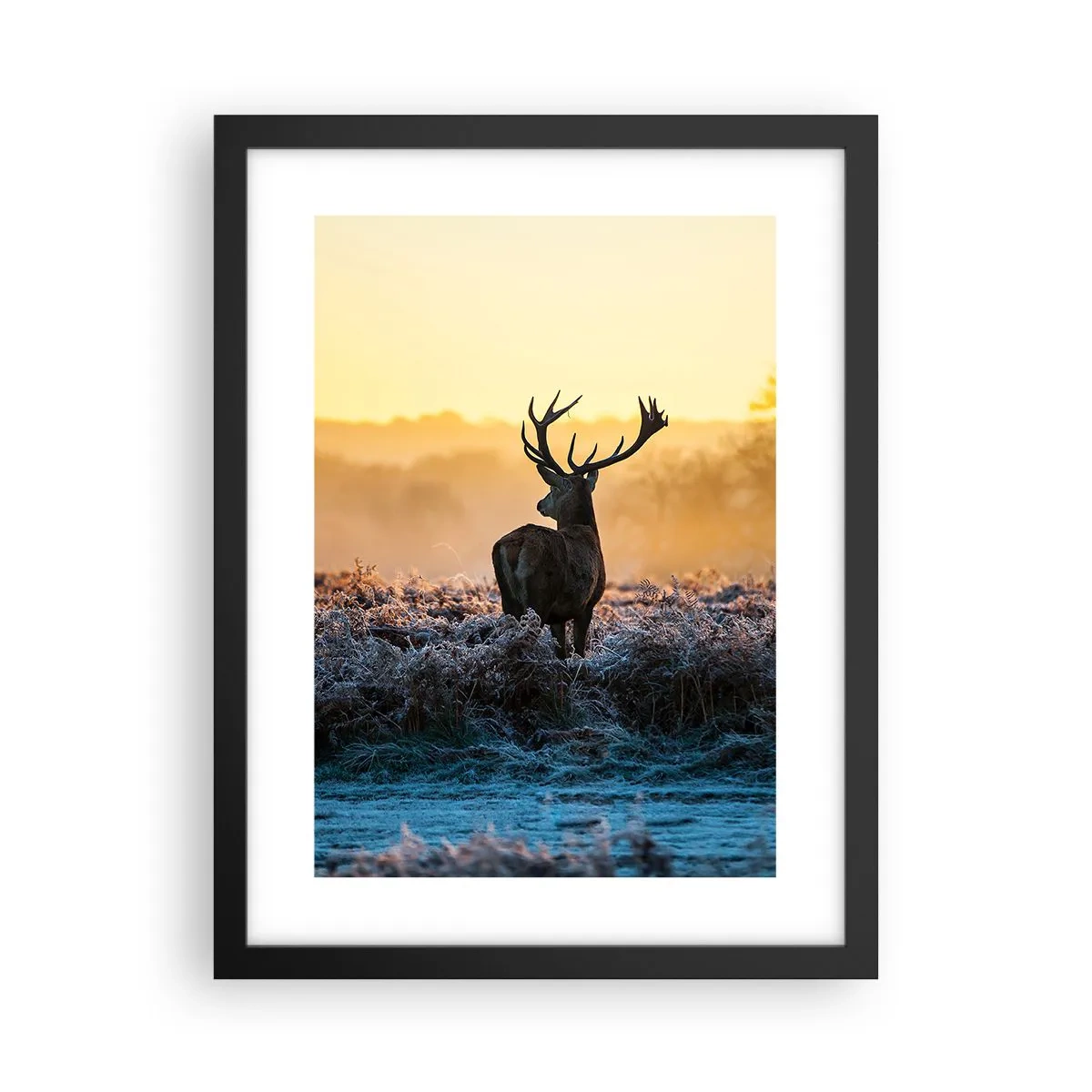 Poster în ramă neagră - Încoronat pe domeniul său - 30x40 cm