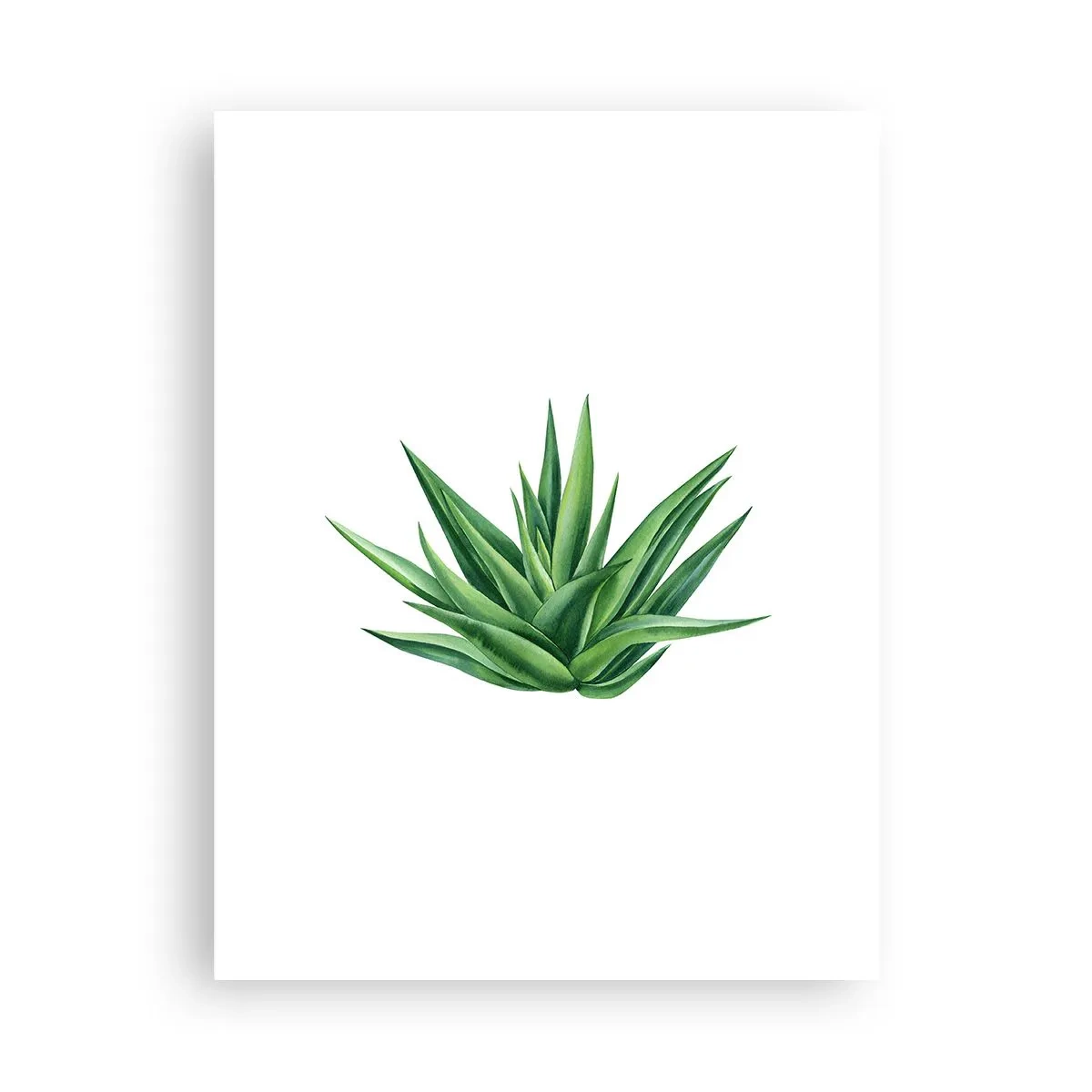 Poster - Verde - putere - viață - 30x40 cm