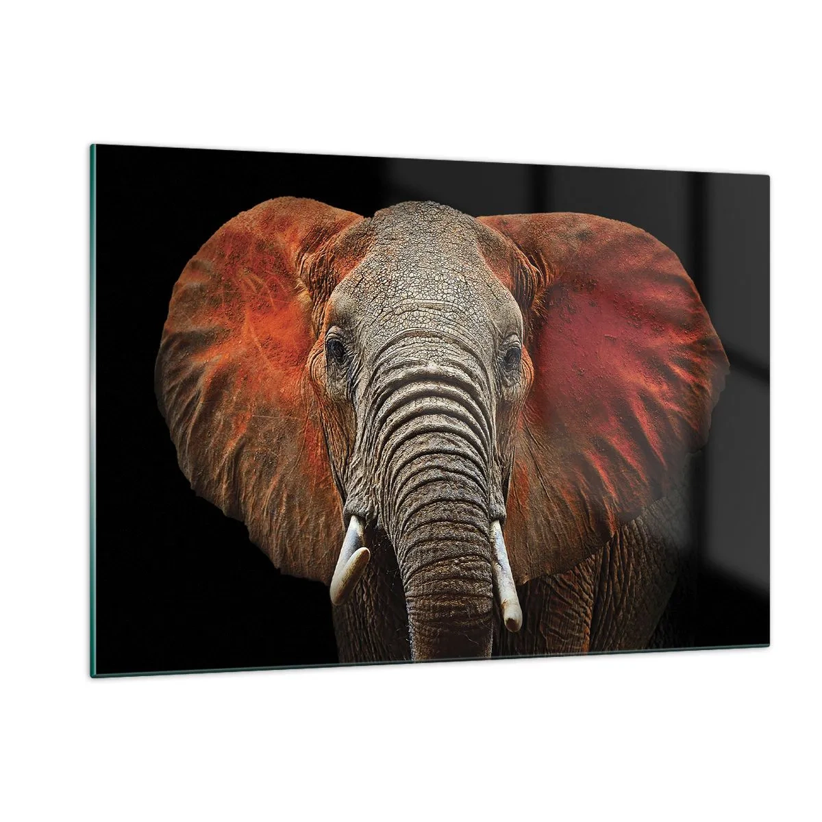 Tablou pe sticlă - Sunt sălbatic, și tu? - 120x80 cm