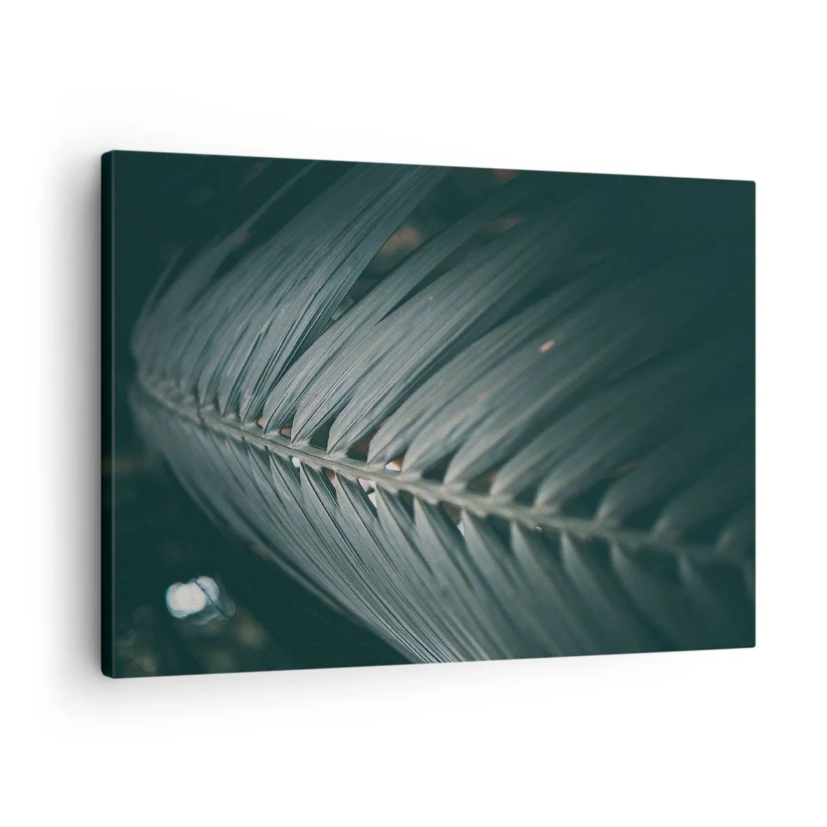 Tablou pe pânză Canvas - Prim-plan al unui detaliu de frunză de palmier în tonuri închise - 70x50cm - Precizia naturii - Decorațiune modernă pentru perete pentru living și dormitor ARTTOR