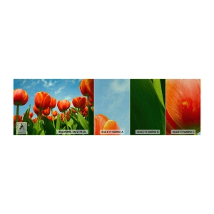 Mostră tapet Premium Sand - Doar cerul albastru - Flori, Lalele, Natură - 100x30 cm