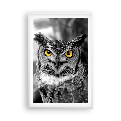 Poster în ramă albă - Nimic nu poate fi ascuns - 61x91 cm