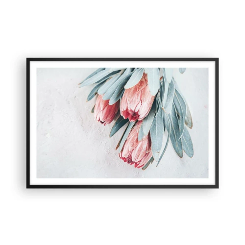 Poster în ramă neagră - Rușinate de propria lor frumusețe - 91x61 cm