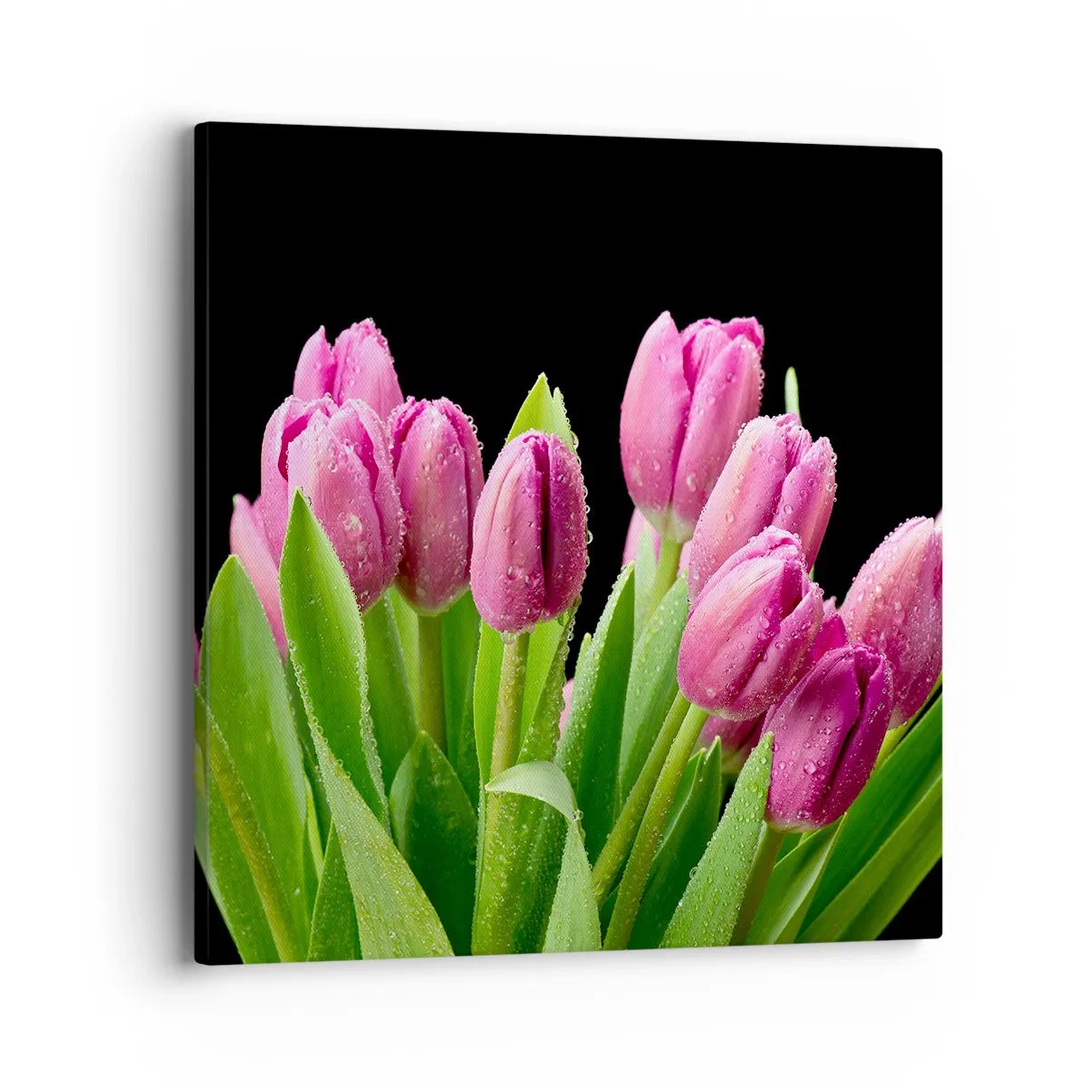 Tablou pe pânză - Bucurie de liliac de primăvară - 40x40 cm