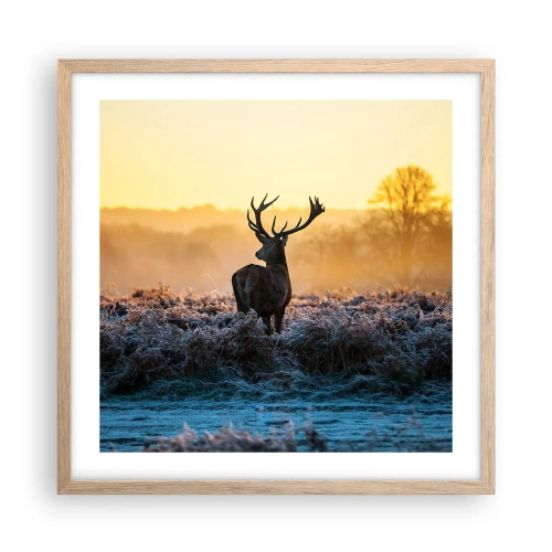 Poster în ramă de stejar deschis - Încoronat pe domeniul său - 50x50 cm