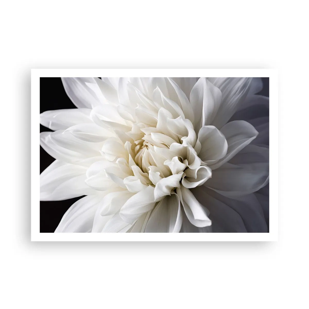 Poster - Dimineața miresei - 100x70 cm