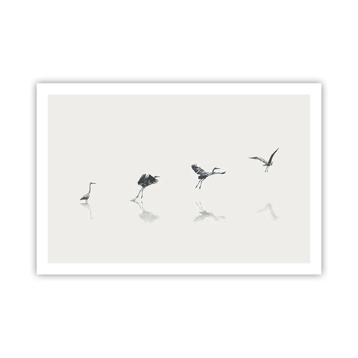 Poster - Patru pași simpli - 91x61 cm