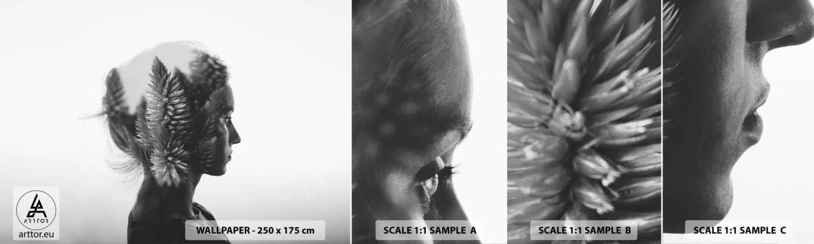 Mostră de Tapet Standard Eco - Doamna din pădurea de pini - Abstracția, Femeie, Bucată - 100x30 cm