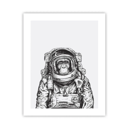 Poster - Evoluție alternativă - 40x50 cm