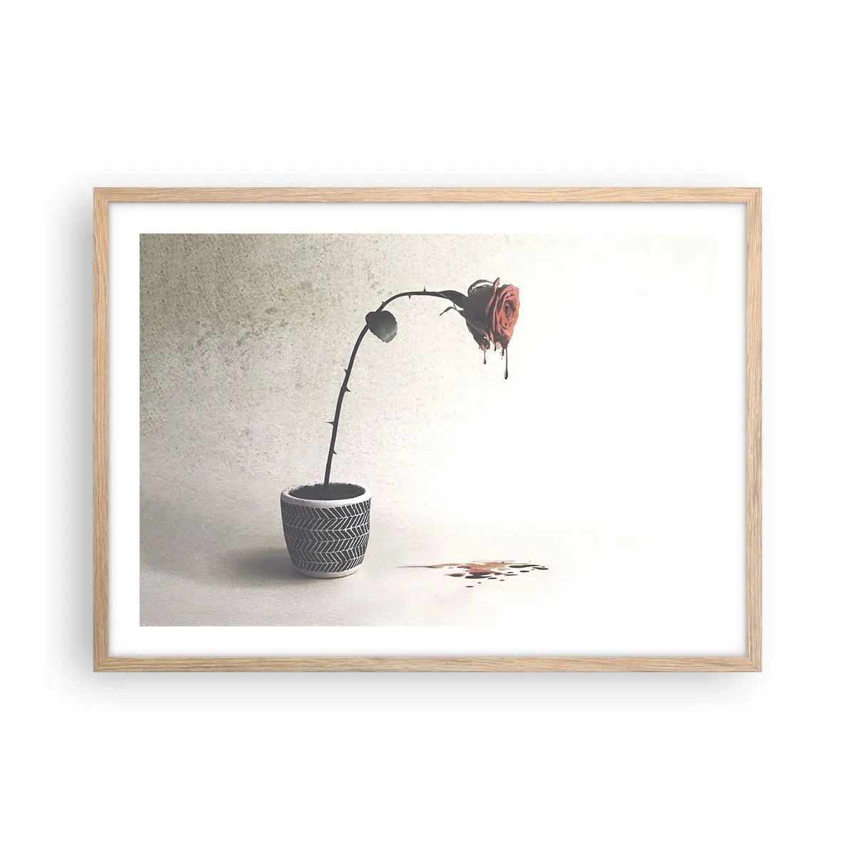 Poster în ramă de stejar deschis - Rosa dolorosa - 70x50 cm