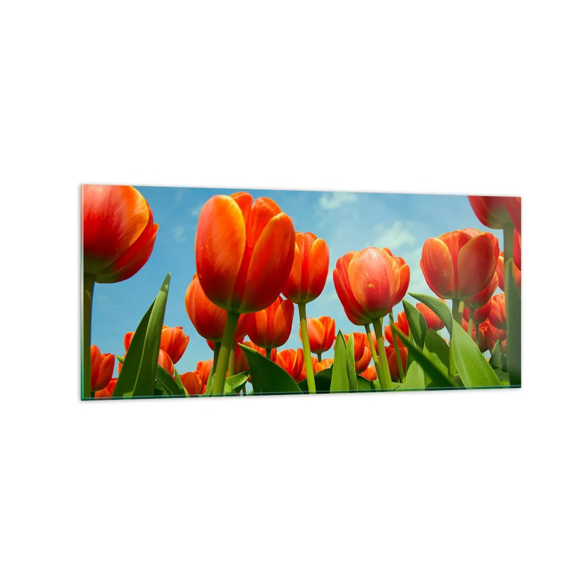 Tablou pe sticlă - Doar cerul albastru - 120x50 cm
