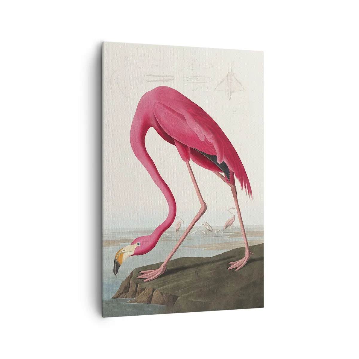 Tablou pe pânză Canvas - O creatură uimitoare - 80x120 cm